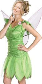 The Halloween Fairy Costume